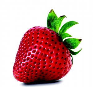 fragole
