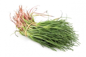 agretti