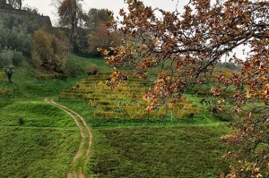 alveari terza piuma