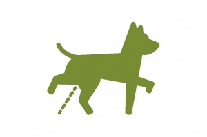 cane pipi