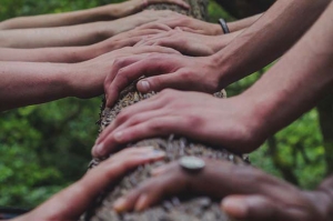 comunità