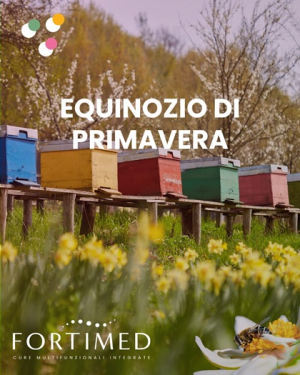 Equinozio di primavera e arnie