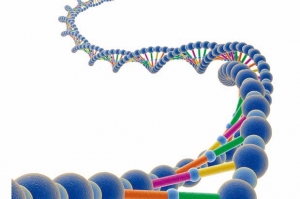 dna