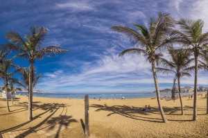 canarie inverno