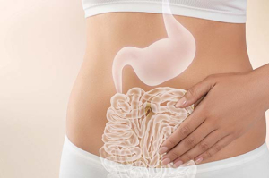 microbiota