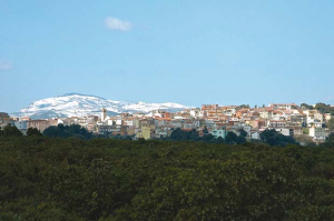 Perdasdefogu