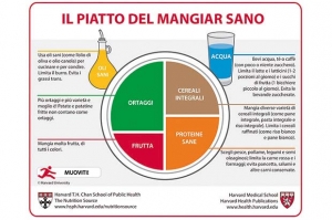 piatto sano