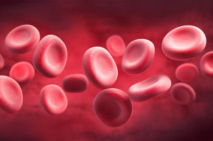plasma