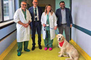 pet therapy