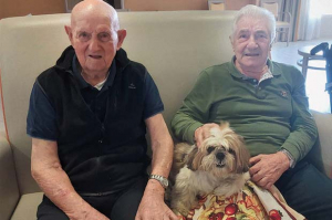 pet therapy verdello