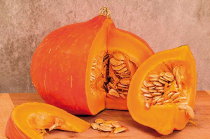 zucca