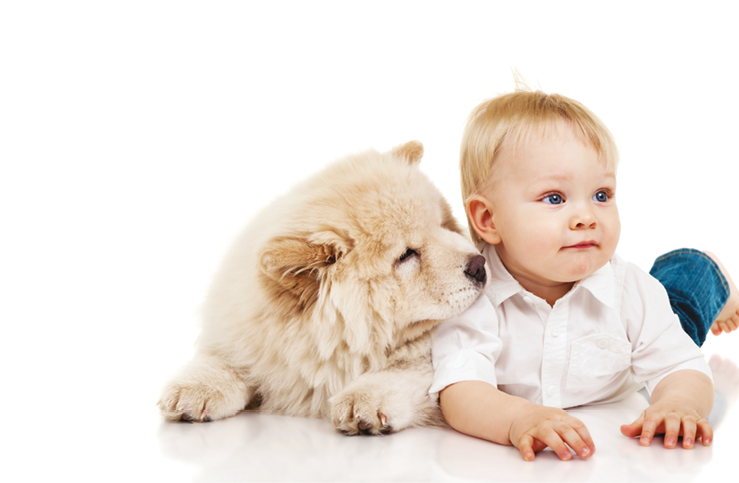 cane e bambino