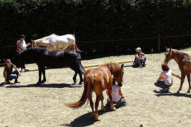 cavallo terapia
