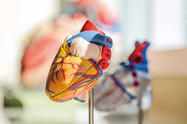 cardiologia