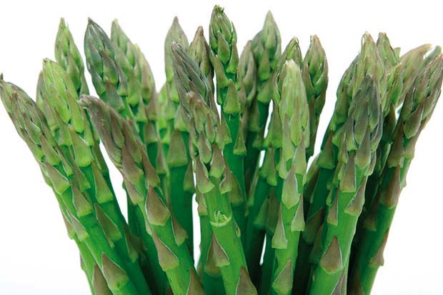 lasagnette asparagi
