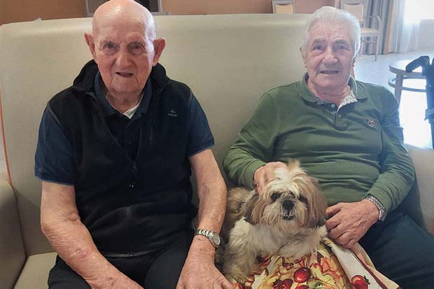 pet therapy verdello
