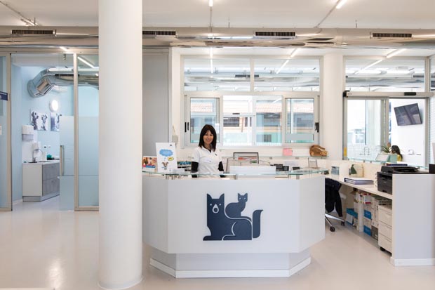 clinica veterinaria