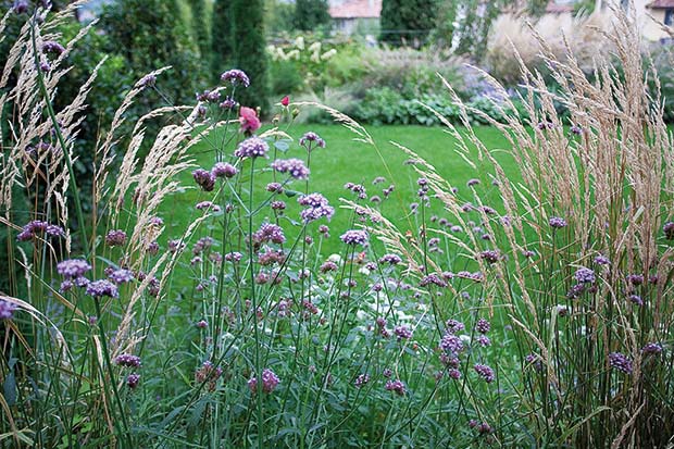 giardini che curano