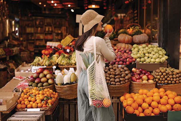 alimentazione