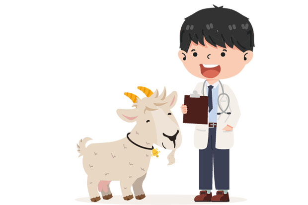 medici veterinari